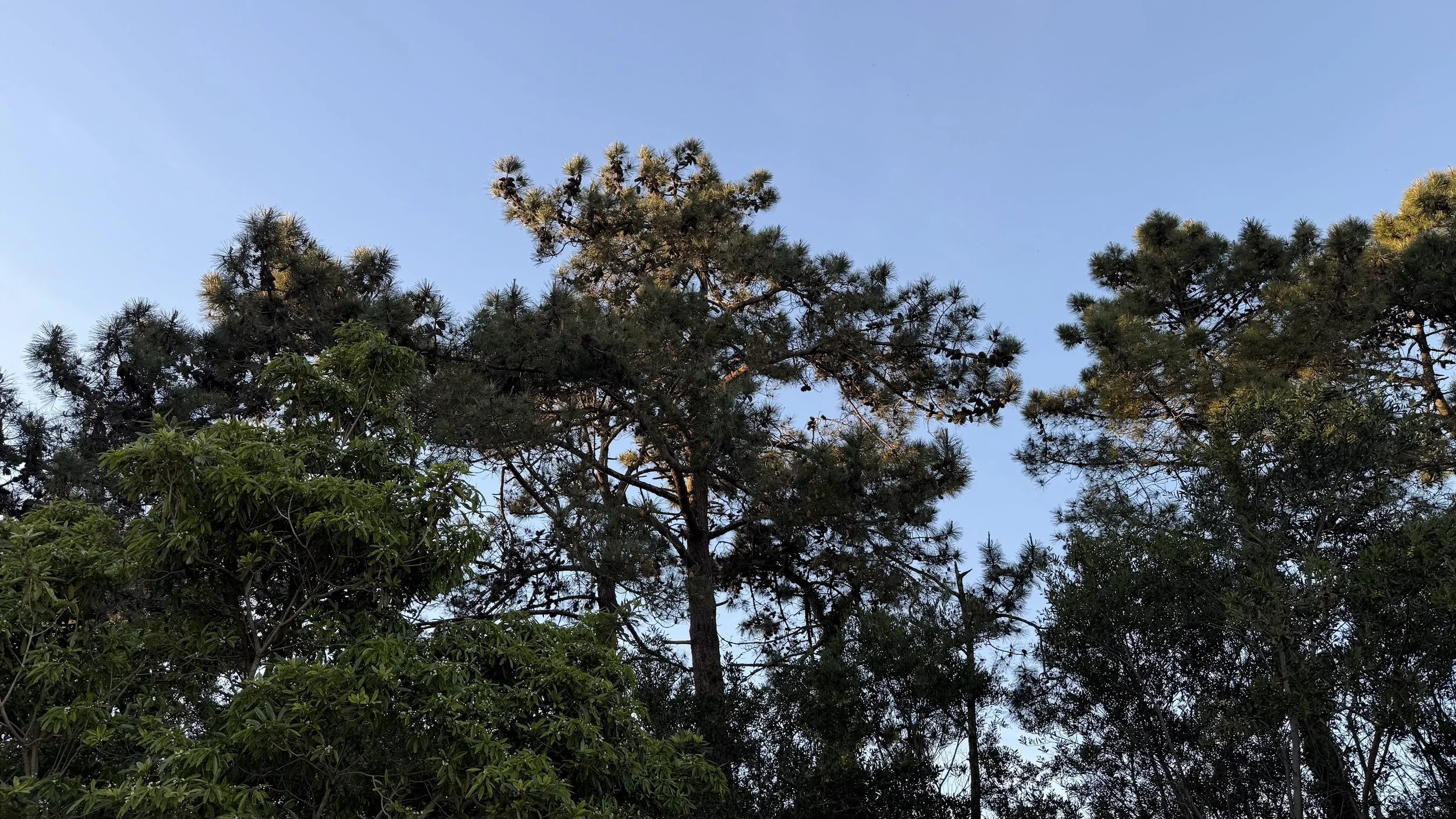 Panorâmica do empreendimento e envolvente