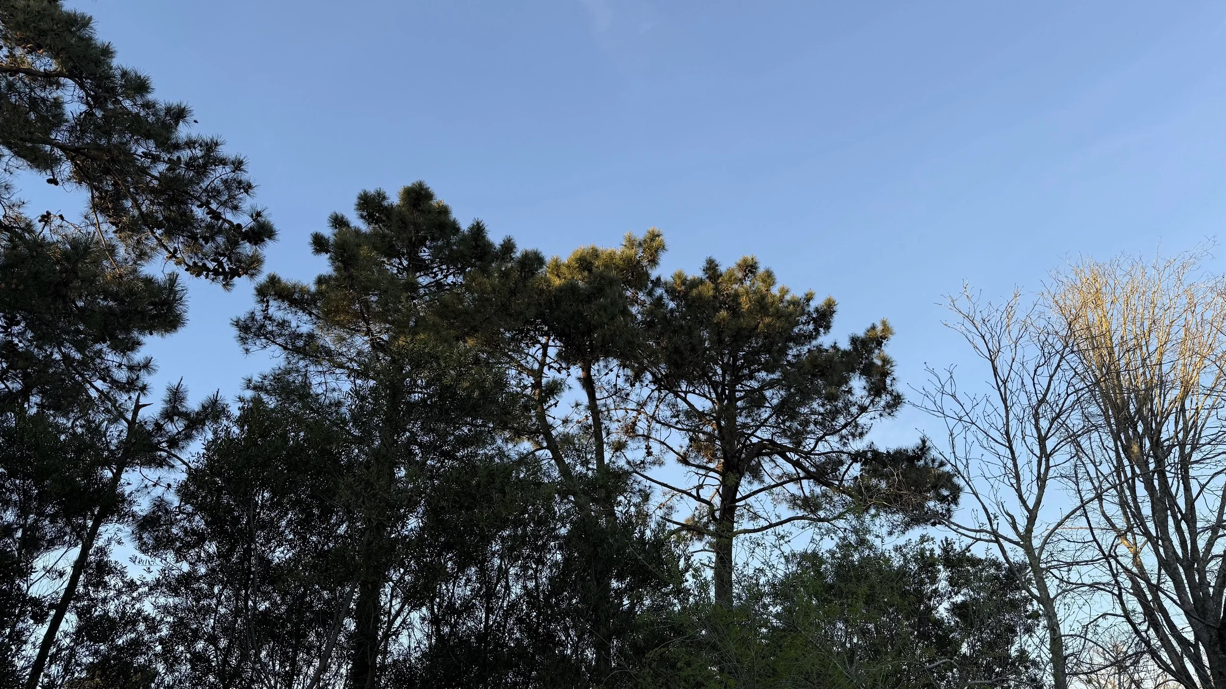 Paisagem costeira junto ao empreendimento